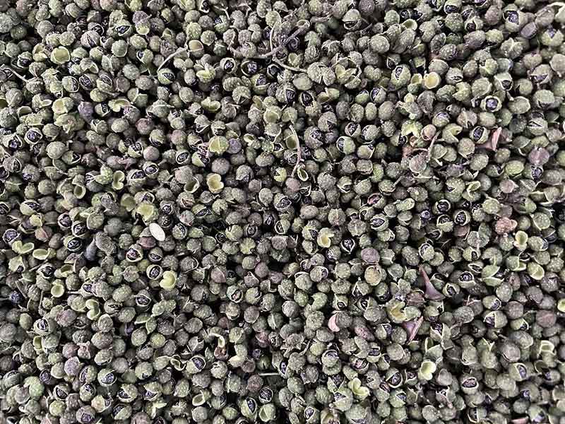 色选机|食品色选机|再生资源色选机|矿石色选机|履带色选机