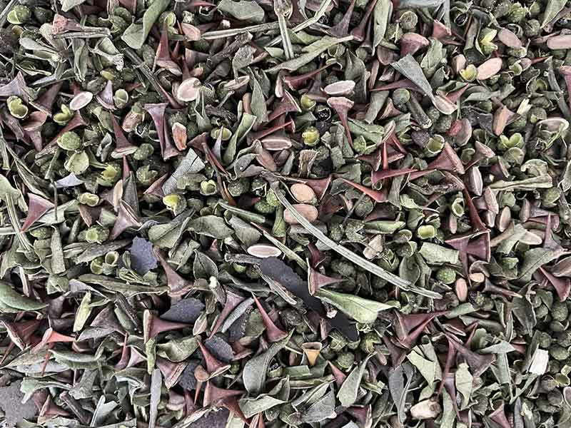 色选机|食品色选机|再生资源色选机|矿石色选机|履带色选机