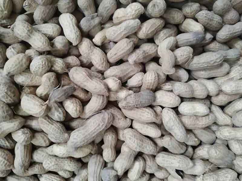 色选机|食品色选机|再生资源色选机|矿石色选机|履带色选机