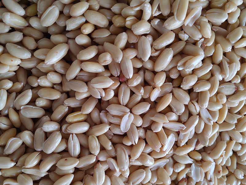 色选机|食品色选机|再生资源色选机|矿石色选机|履带色选机