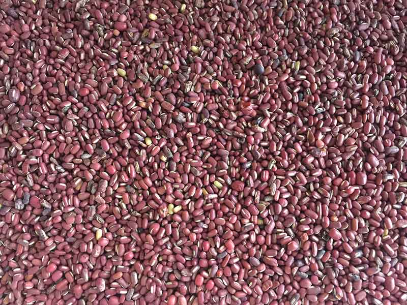 色选机|食品色选机|再生资源色选机|矿石色选机|履带色选机