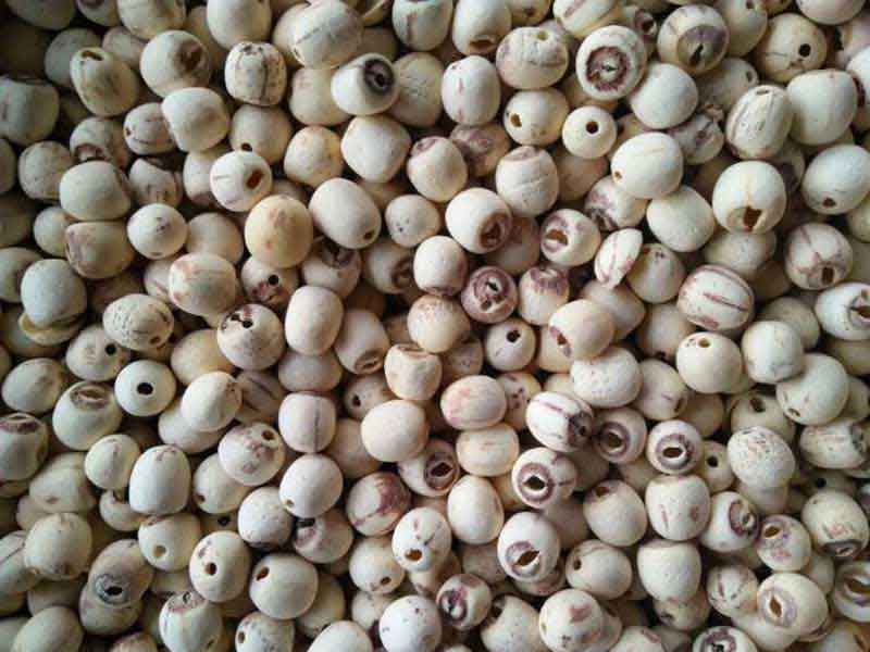 色选机|食品色选机|再生资源色选机|矿石色选机|履带色选机