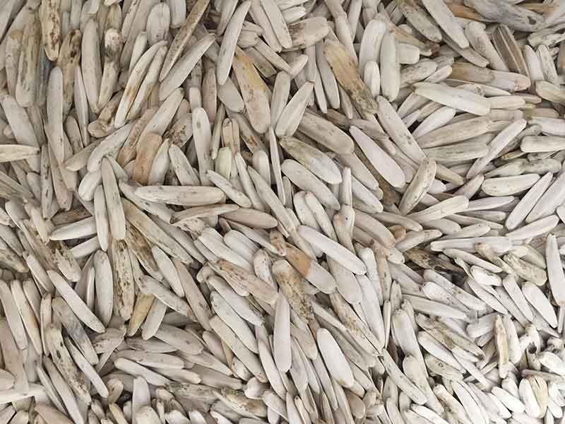 色选机|食品色选机|再生资源色选机|矿石色选机|履带色选机