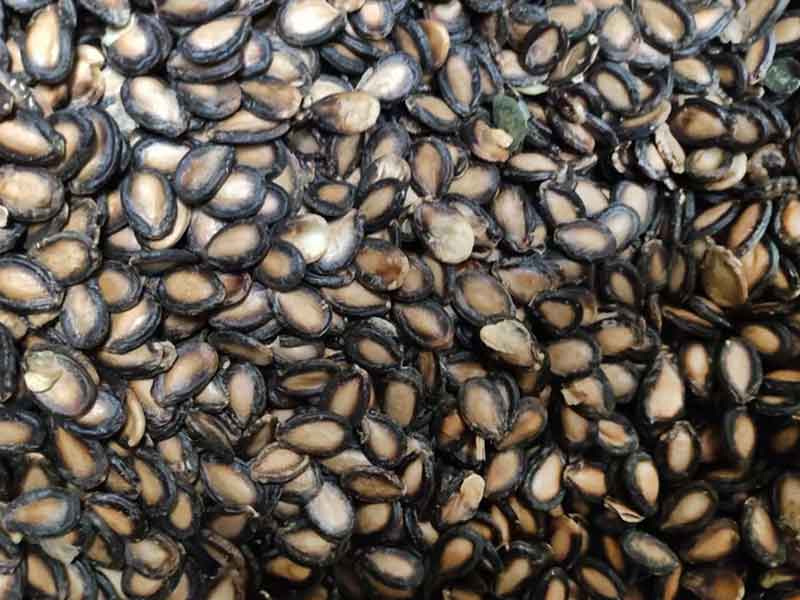 色选机|食品色选机|再生资源色选机|矿石色选机|履带色选机