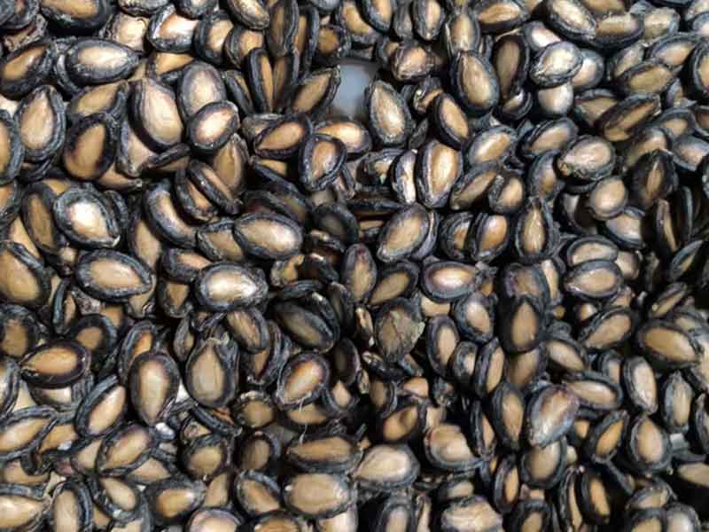 色选机|食品色选机|再生资源色选机|矿石色选机|履带色选机