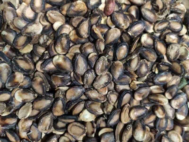 色选机|食品色选机|再生资源色选机|矿石色选机|履带色选机