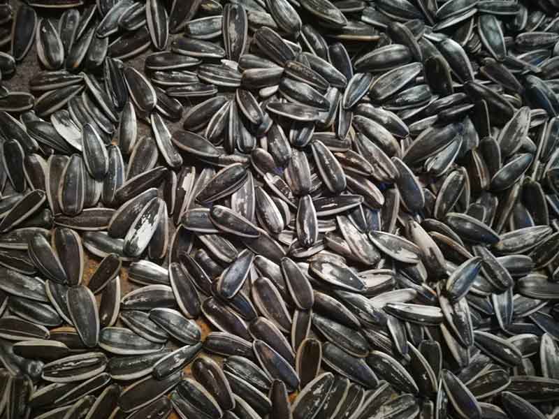 色选机|食品色选机|再生资源色选机|矿石色选机|履带色选机