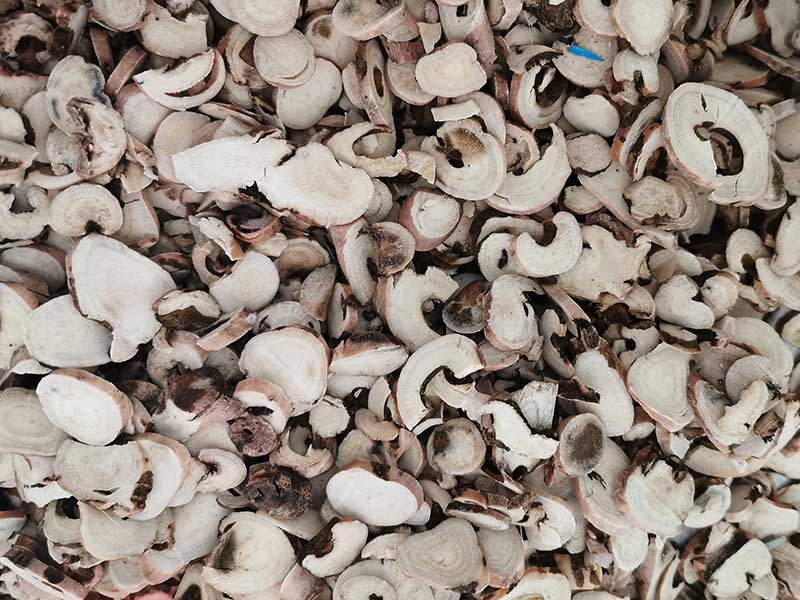 色选机|食品色选机|再生资源色选机|矿石色选机|履带色选机