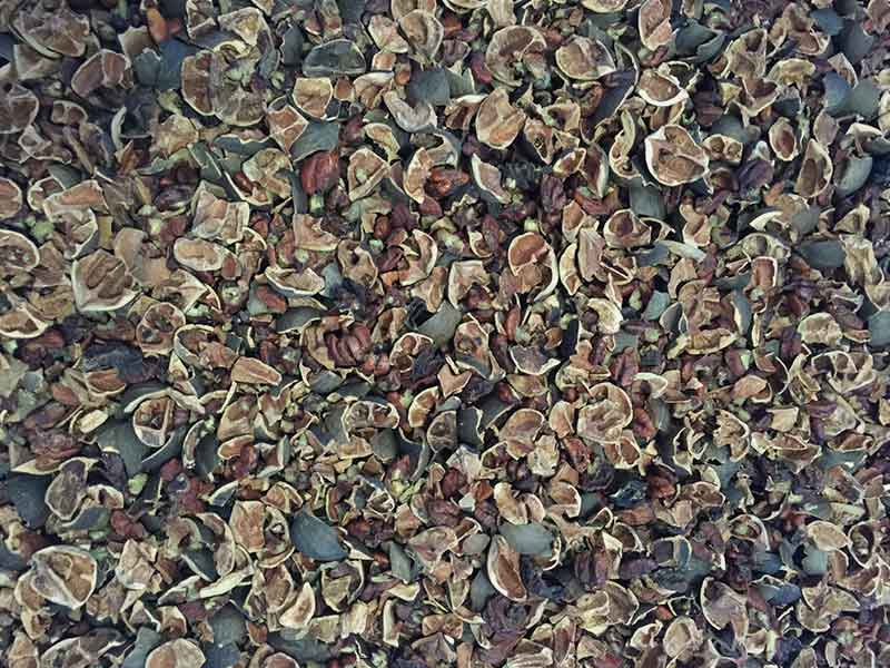 色选机|食品色选机|再生资源色选机|矿石色选机|履带色选机