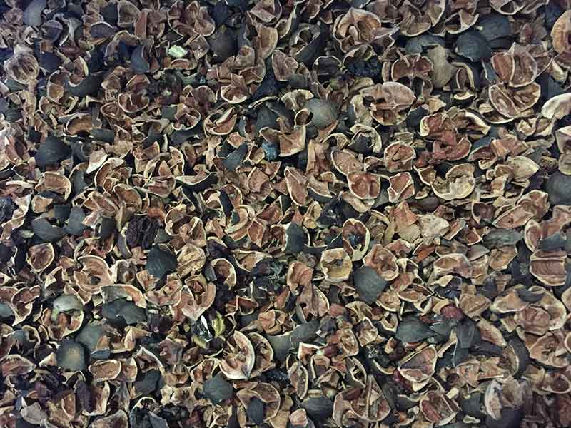 色选机|食品色选机|再生资源色选机|矿石色选机|履带色选机