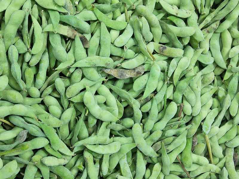 色选机|食品色选机|再生资源色选机|矿石色选机|履带色选机