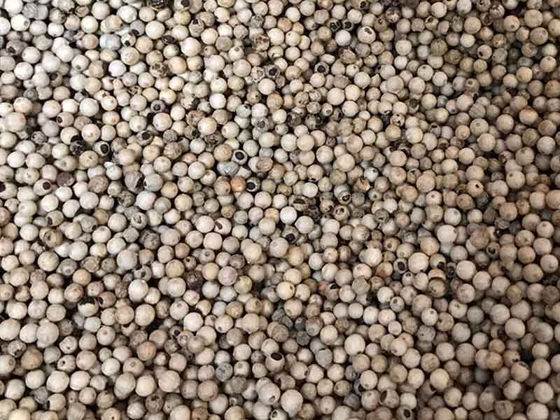 色选机|食品色选机|再生资源色选机|矿石色选机|履带色选机