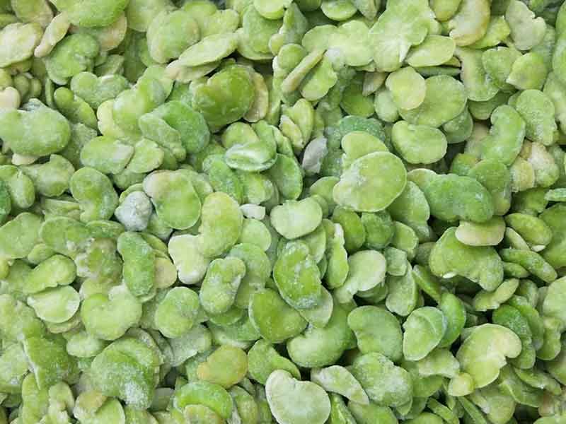 色选机|食品色选机|再生资源色选机|矿石色选机|履带色选机