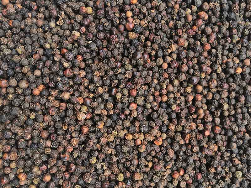 色选机|食品色选机|再生资源色选机|矿石色选机|履带色选机