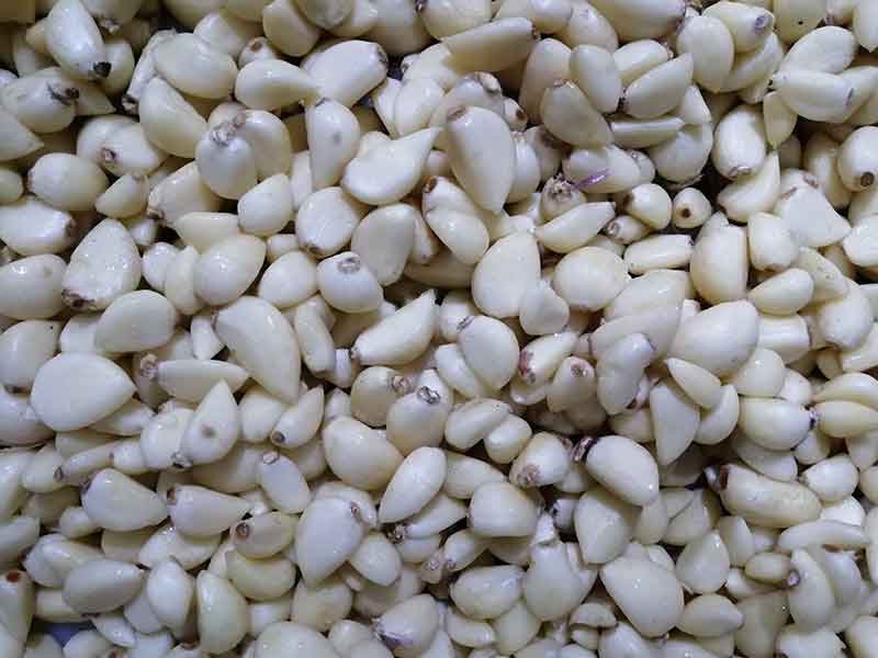 色选机|食品色选机|再生资源色选机|矿石色选机|履带色选机