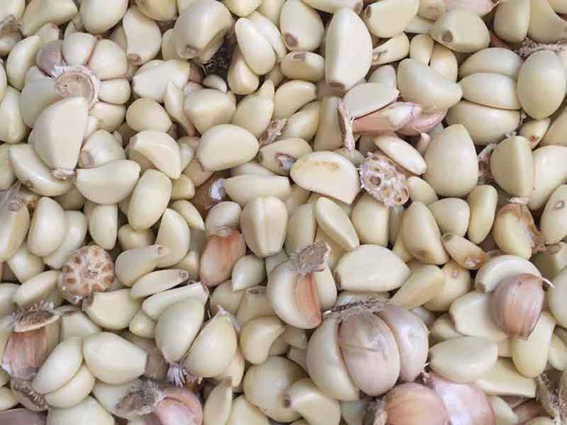 色选机|食品色选机|再生资源色选机|矿石色选机|履带色选机