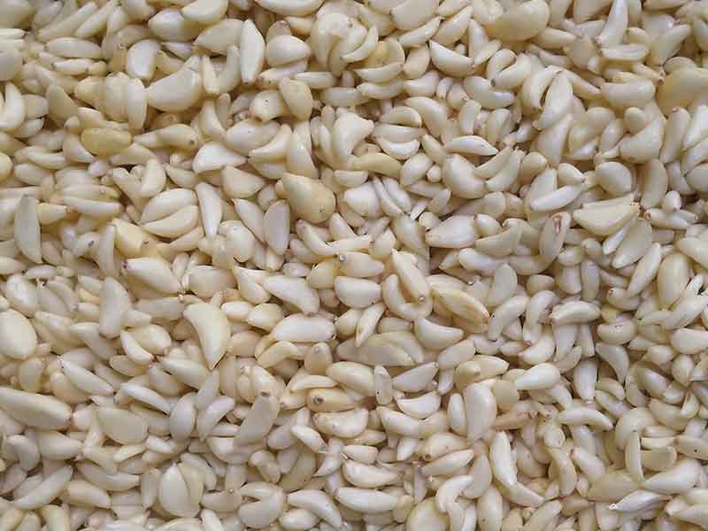 色选机|食品色选机|再生资源色选机|矿石色选机|履带色选机