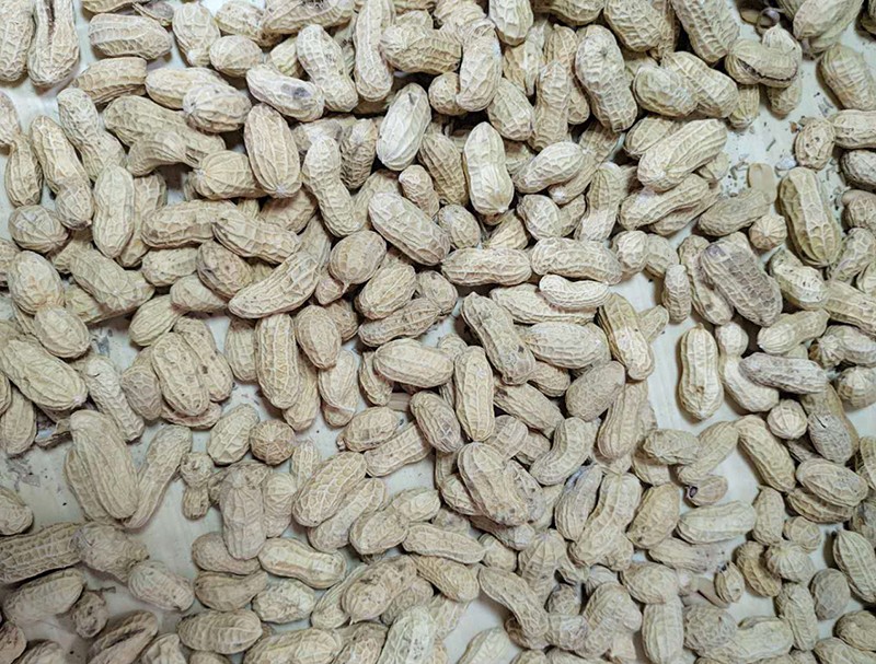 色选机|食品色选机|再生资源色选机|矿石色选机|履带色选机