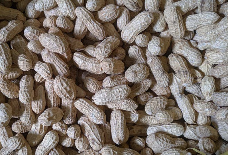 色选机|食品色选机|再生资源色选机|矿石色选机|履带色选机