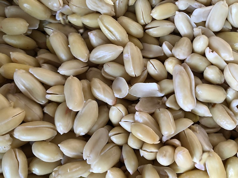 色选机|食品色选机|再生资源色选机|矿石色选机|履带色选机