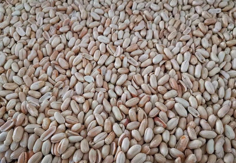 色选机|食品色选机|再生资源色选机|矿石色选机|履带色选机