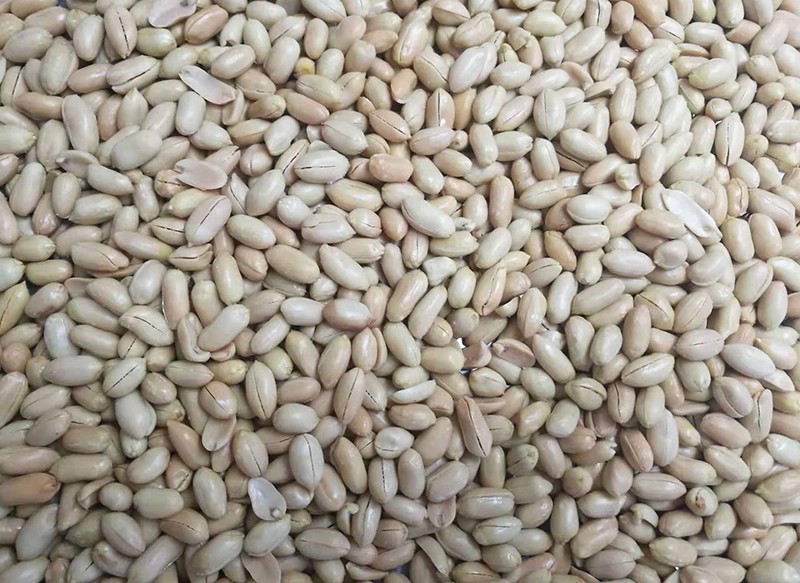 色选机|食品色选机|再生资源色选机|矿石色选机|履带色选机