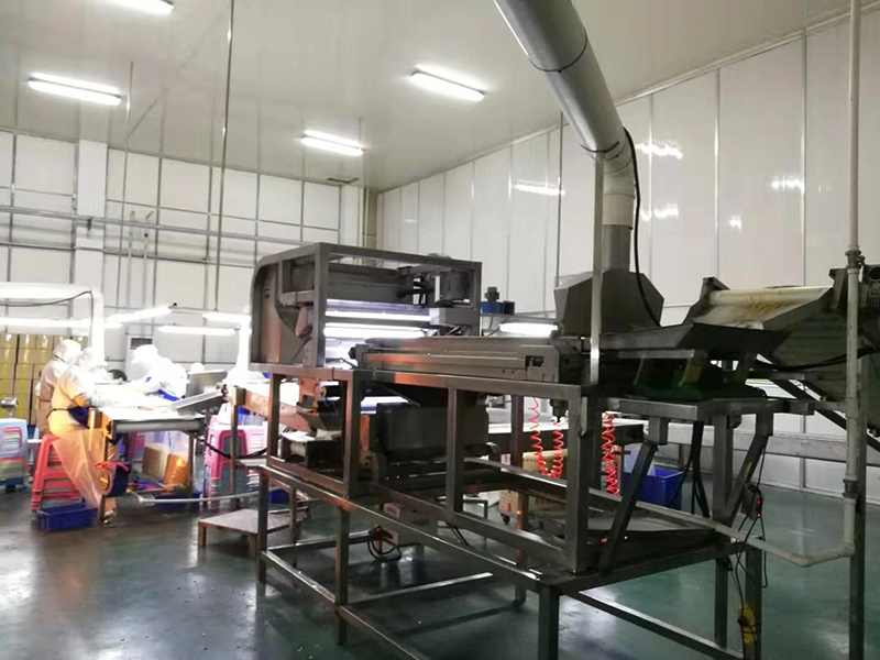 色选机|食品色选机|再生资源色选机|矿石色选机|履带色选机