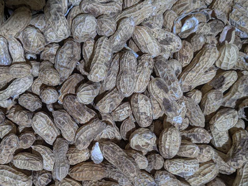 色选机|食品色选机|再生资源色选机|矿石色选机|履带色选机