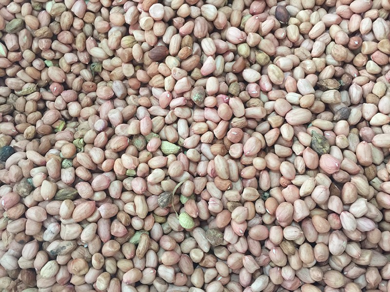 色选机|食品色选机|再生资源色选机|矿石色选机|履带色选机