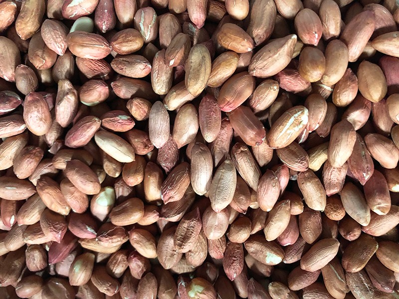 色选机|食品色选机|再生资源色选机|矿石色选机|履带色选机