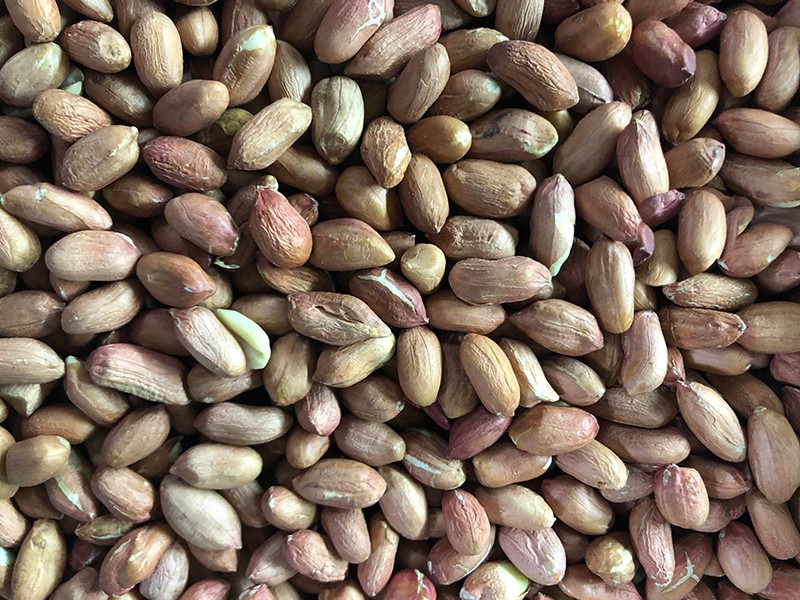 色选机|食品色选机|再生资源色选机|矿石色选机|履带色选机