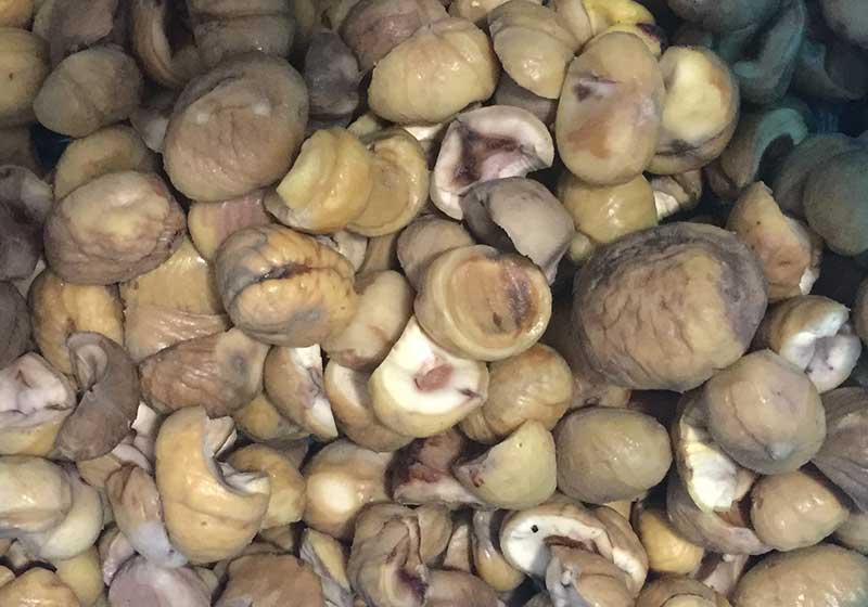 板栗原料.jpg