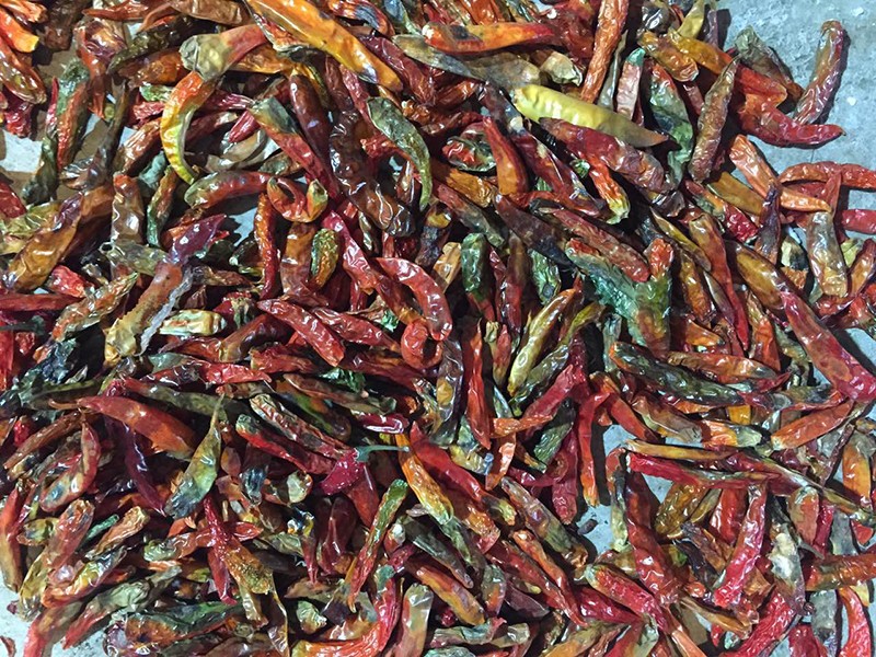 云南宜良辣椒何0283客户处，下料改.jpg