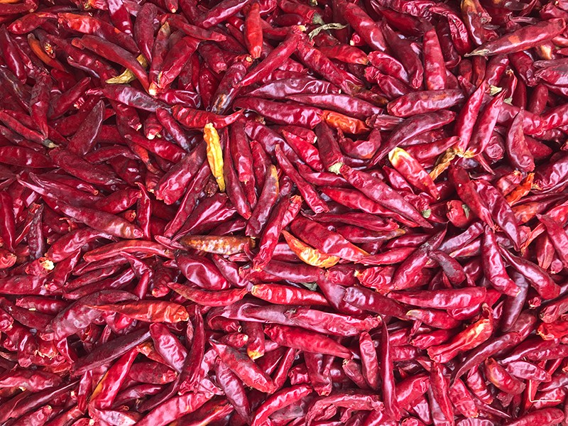 山东金乡-辣椒-李-3028处，原料改.jpg