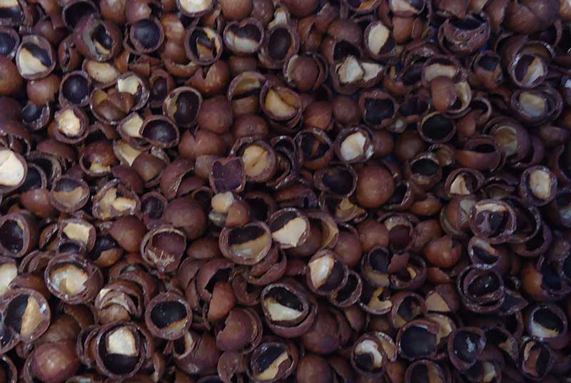 色选机|食品色选机|再生资源色选机|矿石色选机|履带色选机