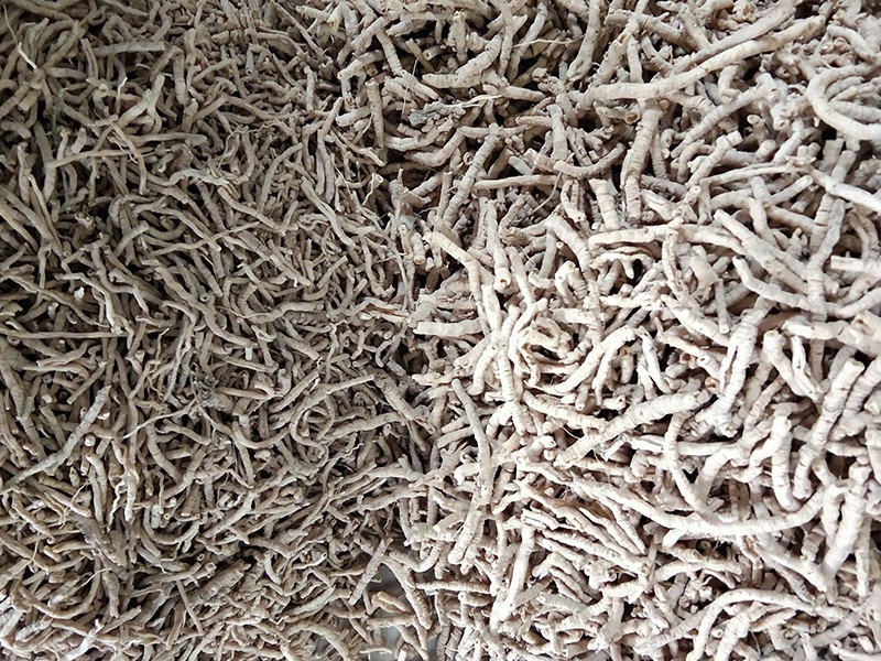 色选机|食品色选机|再生资源色选机|矿石色选机|履带色选机