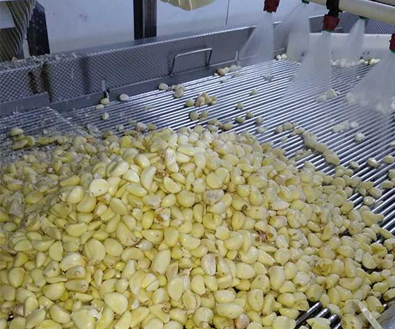 色选机|食品|再生料|矿石|履带色选机